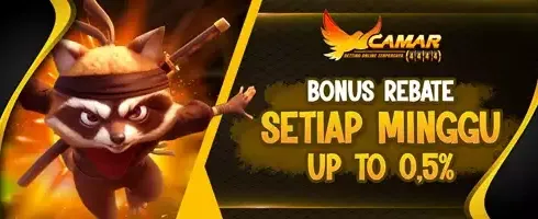 VIP Slot Weekly Rebate 📈 promotion banner